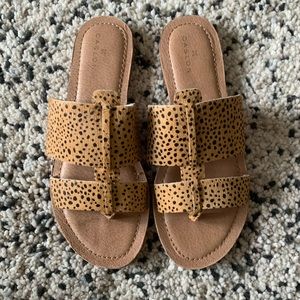 CALSON Cheetah Print Calf Hair sandal